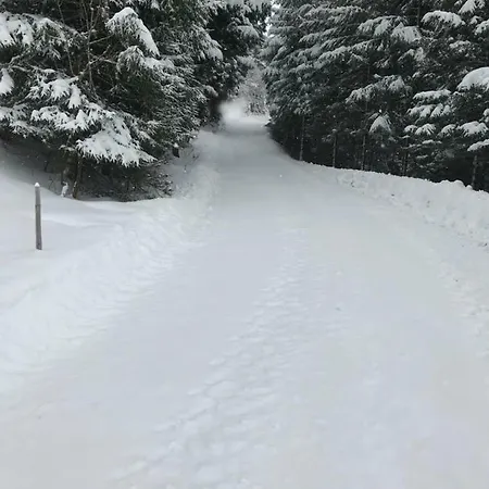 Apartment By Josef Lanzinger Bad Vigaun