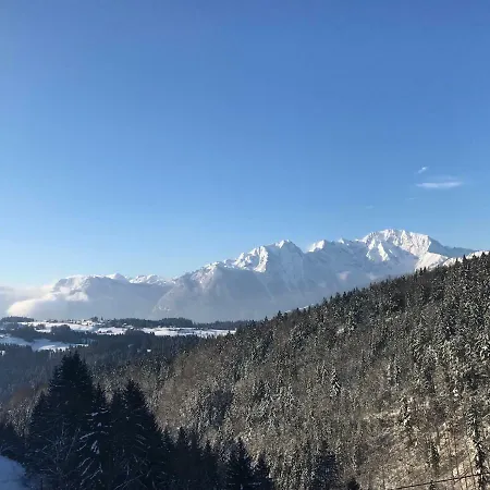 By Josef Lanzinger *