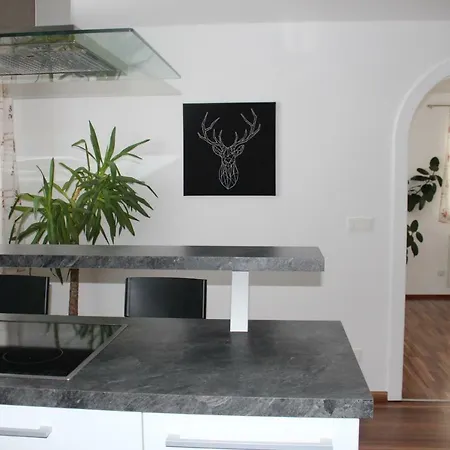 By Josef Lanzinger *