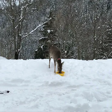 By Josef Lanzinger * Bad Vigaun