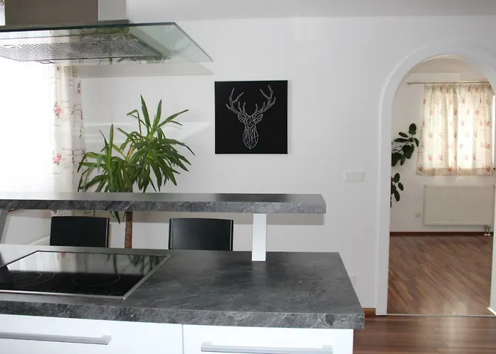 By Josef Lanzinger *